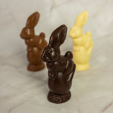 Bunny on Egg - Dark Chocolate