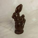 Bunny on Egg - Dark Chocolate