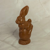 Bunny on Egg - Milk Chocolate