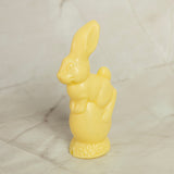 Bunny on Egg - White Chocolate