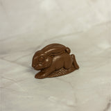 Barnyard Bunny